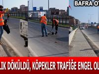 Yola Balık Döküldü