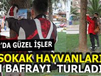 Bafra'da Güzel İşler