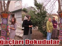 Ağaçları Dokudular