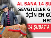 AL SANA 14 ŞUBAT