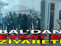 Bal Öğrencileri Barınakta