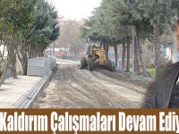 Parke ve Kaldırım Çalışmaları Devam Ediyor