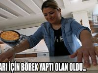 Arkadaşları Yesin Diye Börek Yaptı Bir Anda...