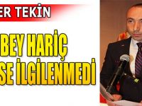 VALİ BEY HARİÇ KİMSE İLGİLENMEDİ