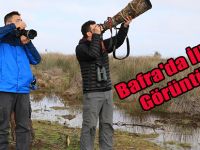 Bafra'da İlk Defa Görüntülendi