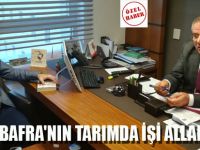 ZEYBEK BAFRA'NIN TARIMDA İŞİ ALLAHA KALDI