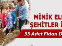 MİNİK ELLER ŞEHİTLER İÇİN FİDAN DİKTİ
