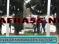 Bafra Bunu Da Gördü, Hayvanların Mamalarını Çaldılar !!!