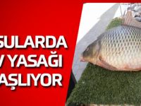 İç Sularda Av Yasağı Başlıyor