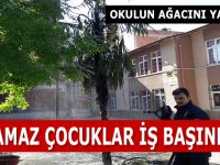 Okulun Ağacını Yaktılar !!!