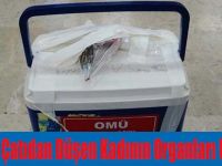 Bafra'da Çatıdan Düşen Kadının Organları Umut Oldu