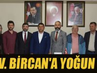AV. BİRCAN'A YOĞUN İLGİ