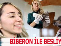 Biberon ile Tilkiye Bakıyor
