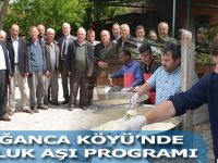 DOĞANCA KÖYÜ’NDE BOLLUK AŞI PROGRAMI