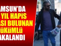 Hakkında 21 yıl hapis cezası bulunan hükümlü yakalandı