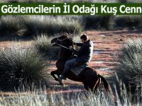 Gözlemcilerin İl Odağı Kuş Cenneti