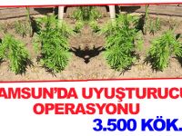 Samsun'da uyuşturucu operasyonu
