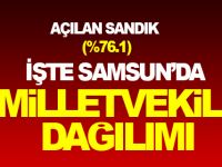 Samsun'da Milletvekili Dağılımı