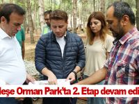Meşe Orman Park’ta 2. Etap devam ediyor