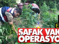 Samsun'da Şafak Vakti Operasyon