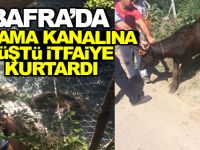 Bafra'da Sulama Kanalına Düştü İtfaiye Kurtardı