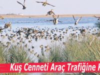 Kuş Cenneti Araç Trafiğine Kapatıldı
