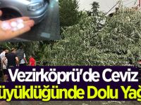 Vezirköprü'de Ceviz Büyüklüğünde Dolu Yağdı
