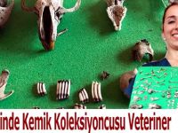 Kuş Cennetinde Kemik Koleksiyoncusu Veteriner