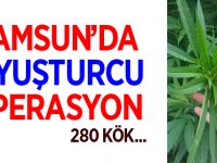 Samsun'da Uyuşturucu Operasyonu