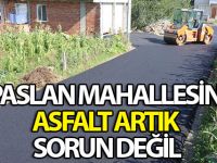 ALPASLAN MAHALLESİNDE ASFALT ARTIK SORUN DEĞİL