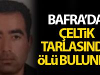 Bafra'da Çeltik Tarlasında Ölü Bulundu