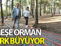 Meşe Orman Park büyüyor