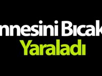 Tartıştığı annesini bıçakla yaraladı