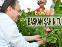 Başkan Şahin Tütün Kırdı