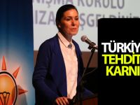 "Türkiye'nin tehditlere karnı tok"