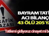 Tatilemi gidiyoruz cinayet mi belli değil