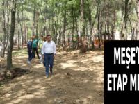 Meşe’de 2. Etap mesaisi