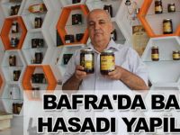 Bafra'da Bal Hasadı Yapıldı