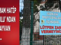 BAFRA İMAM HATİP ORTAOKULU' NDAN ÖRNEK HAYVAN SEVGİSİ