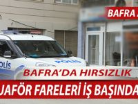 KUAFÖR FARELERİ İŞ BAŞINDA !!!
