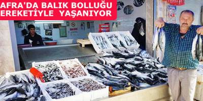 BAFRA'DA BALIK BOLLUĞU BEREKETİYLE YAŞANIYOR