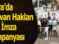 Bafra’da Hayvan Hakları İçin İmza Kampanyası