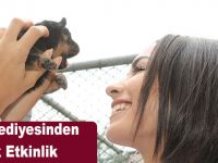 Bafra Belediyesinden Örnek Etkinlik