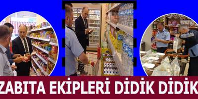 BELEDİYE ZABITA EKİPLERİ DİDİK DİDİK