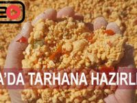 Bafra’da Tarhana Hazırlığı
