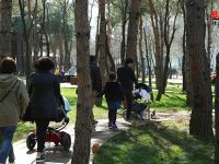 Canik’in Projeleri Yeşile Duyarlı