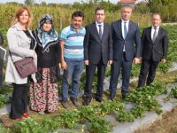 19 Mayıs İlçesinde Tarım Gelişiyor