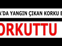 Bafra'da Korku Evinde Yangın !!!