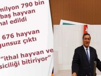 İTHAL HAYVAN VE ET BESİCİLİĞİ BİTİRİYOR..