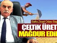 Çeltik Var Alan Yok!
